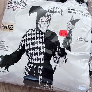 Wicked Jester Halloween costume mens